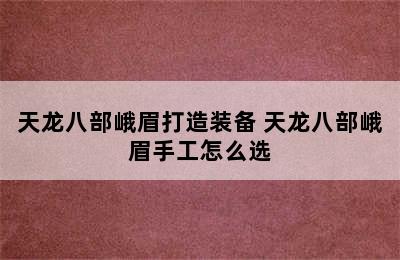 天龙八部峨眉打造装备 天龙八部峨眉手工怎么选